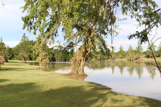 IMG_1609.JPG
