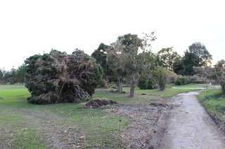 IMG_1709.JPG