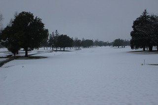IMG_6841.JPG