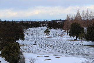 IMG_8163.JPG