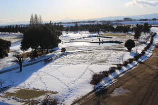 IMG_8185.JPG